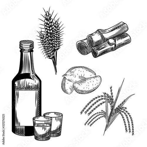 Set of soju. Korean traditional alcohol drink. Wheat, sweet potato, rice, bamboo stalk, shot glass, bottle vodka.