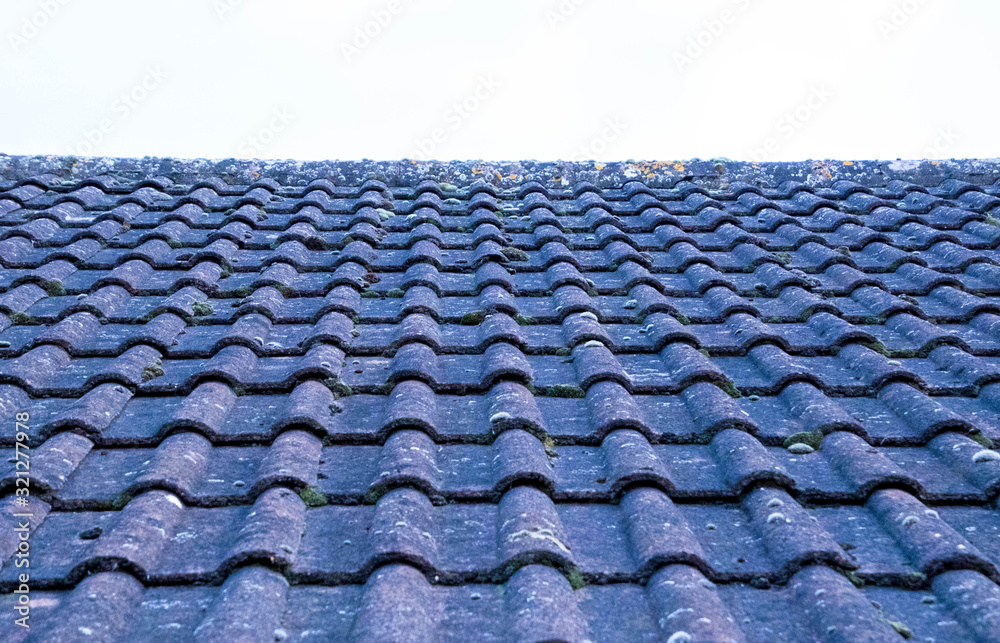 Fototapeta premium Household Sloping Rooftop