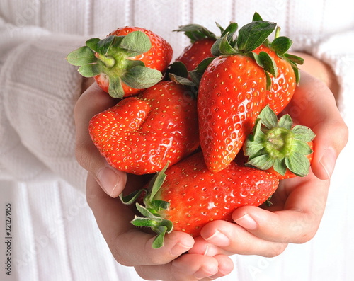 Stawberries in child's hands. The girl is holding srawberries in hands. Healthy food photo