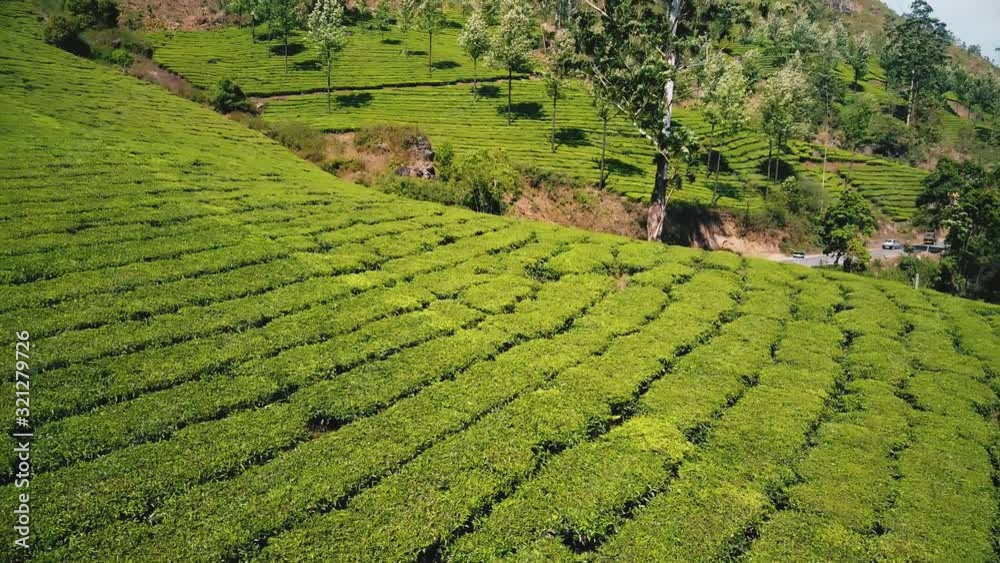 Tea plantations in Munnar, Kerala, India. Beautiful views of green hills with blue sky. Tea plantations in Munnar, Kerala, India. Beautiful views of green hills with blue sky.