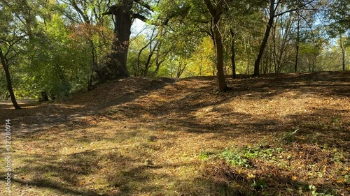 POV walking on footpath in sunny autumn park in the morning. Salhirka Park, Botanical Garden in Simferopol, Crimea, Russia.