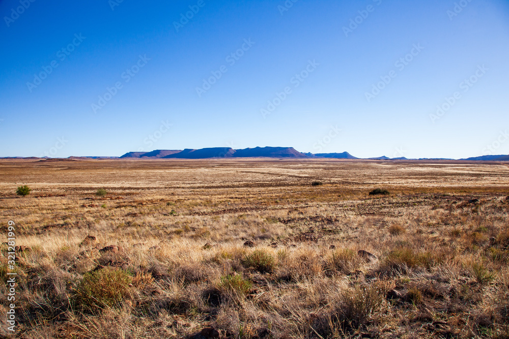 Naklejka premium Farm landscapes of the Karoo