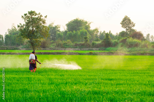 Farmers in the tropical monsoon region, Myanmar, Thailand, Laos, Malaysia, Indonesia, Philippines, Vietnam are spraying chemicals to control grass and eliminate pests in the rice fields. © neenawat555