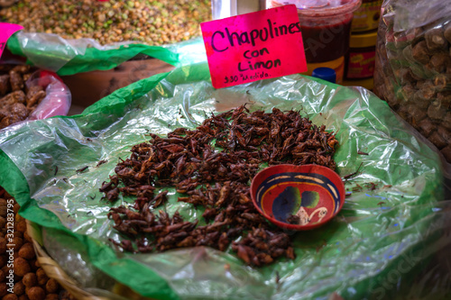 Tasty and crunchy grasshoppers snack in Mexico City.