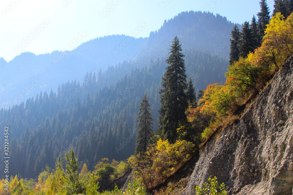 autumn in the mountains, the beautiful nature of the mountains in autumn, Tien Shan spruce over a cliff,