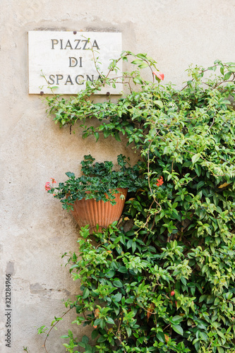 Beautiful floral wall in Piazza di Spagna street in Pienza in Tuscany, Italy