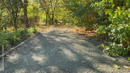 POV walking on footpath in sunny autumn park in the morning. Salhirka Park, Botanical Garden in Simferopol, Crimea, Russia.