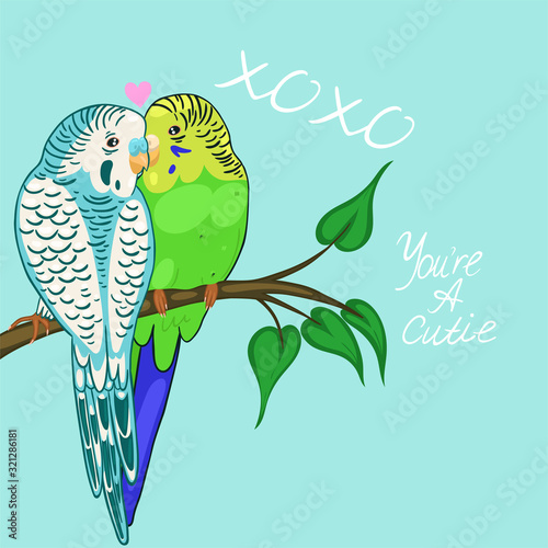 Greeting card with budgies in love. Blue and green budgies. Vector graphics