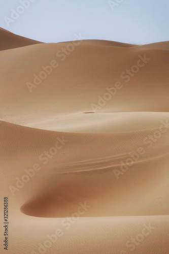 Desert dune in the enening sun in Abudhabi  UAE.