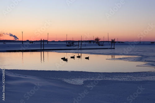 Fototapeta Naklejka Na Ścianę i Meble -  Winter evening landscape with after sunset sky reflects in the open water spot on a frozen Mendota lake with silhouettes of geese. Glowing lanterns along a pier. Tenney Park, Madison, Wisconsin.