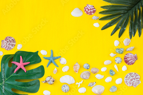 palm leaf  monstera leaf  shells  starfish on a yellow background