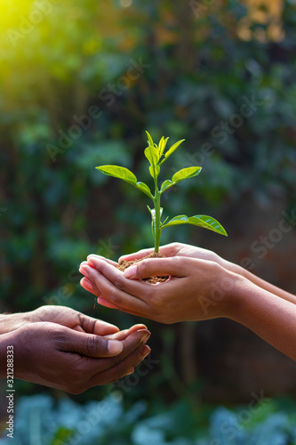 a lady is giving plant towards a man to promote plantation 