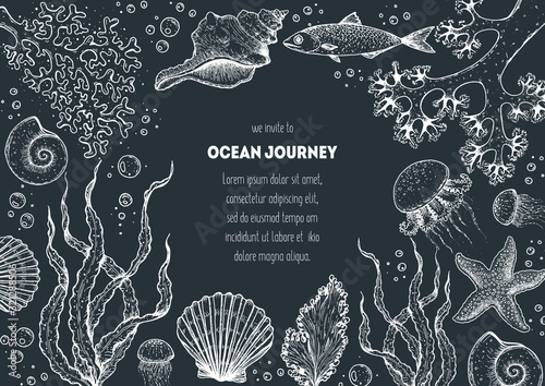 Underwater world hand drawn collection. Sketch illustration. Seaweed, coral, seashells, starfish, jellyfish, fish illustration. Vintage design template. Undersea world collection.