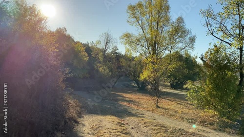 POV walk on trail in autumn forest along lake shore on sunny morning. Sun shining through crimean pine tree branches. Simferopol water reservoir, Crimea, Russia.