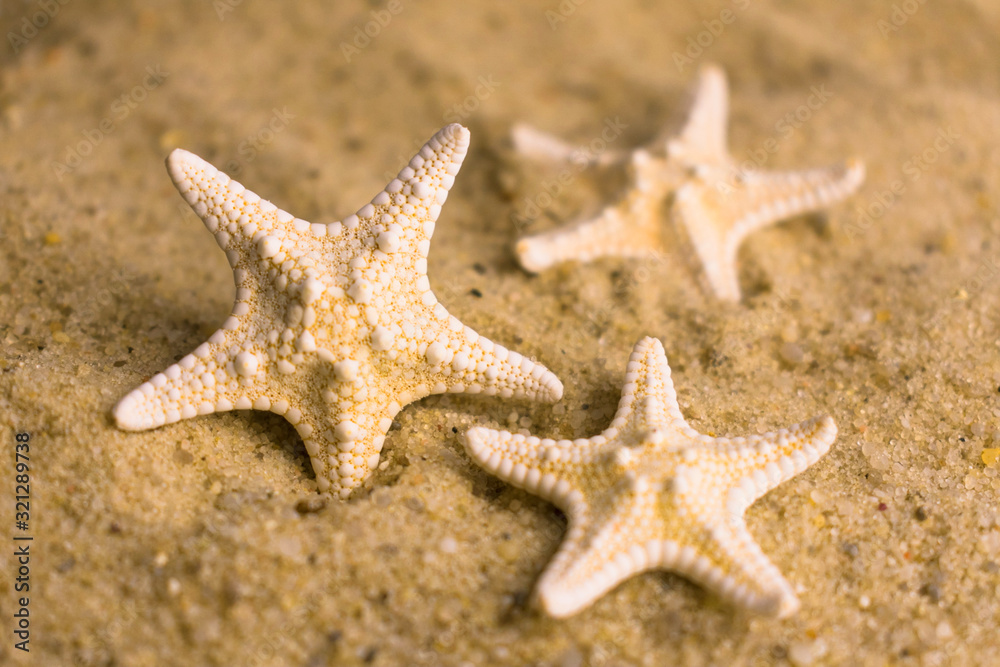 Small sea stars on the beach sand. Selective focus. Small sea stars on the beach sand. Selective focus.