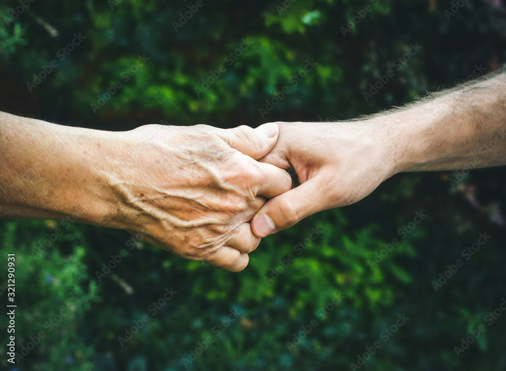 Fototapeta premium Senior and young hands outside closeup. Elderly woman and young man holding hands together, green blurred background, sunlight. Love, warmth, take care concept, Valentines, mothers day, donate, help.