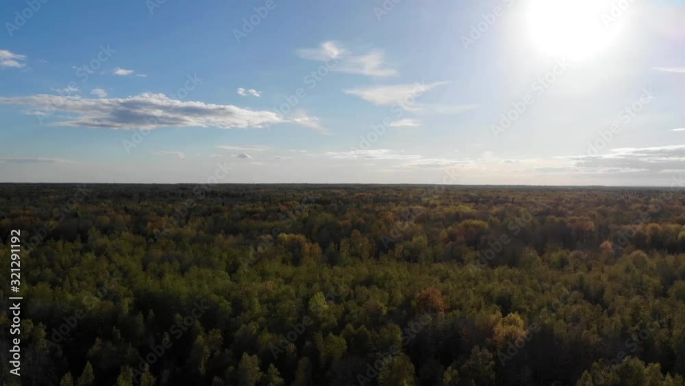 Spring green forest and the sun. Aerial view of beautiful trees. Spring green forest and the sun. Aerial view of beautiful trees.