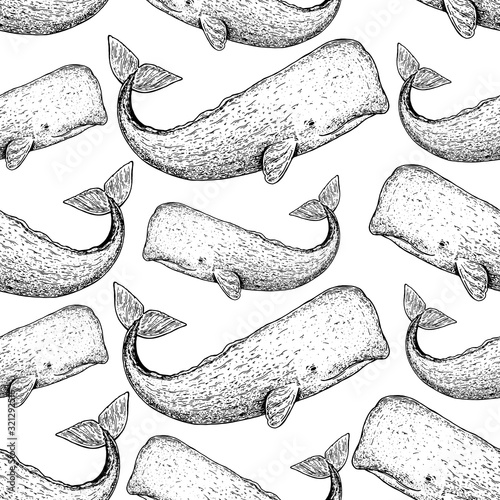 Sperm whale seamless pattern. Hand drawn sketch style. Cachalot vector illustration.