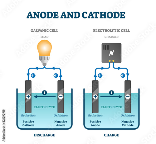 Anode and cathode scientific physics education diagram, vector illustration labeled scheme