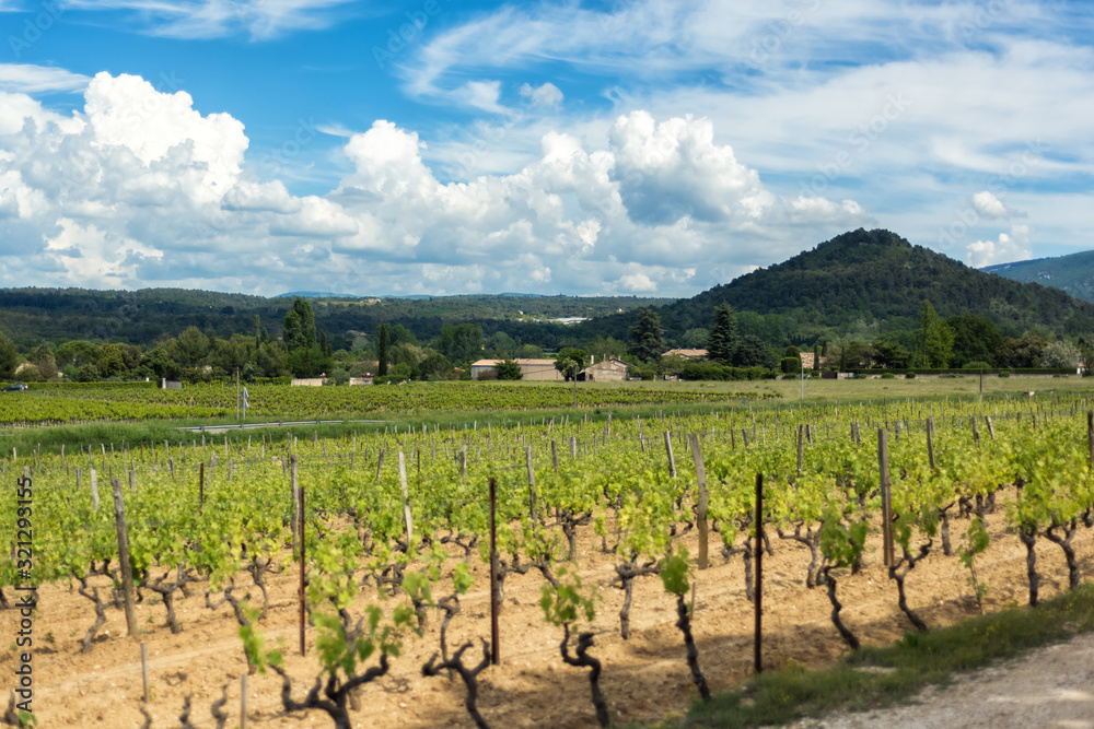 Scenic amazing view from Menerbes, one of most beautiful villages of France, of Luberon hills and vineyards in Provence, France. Rural agricultural french landscape. Travel destination