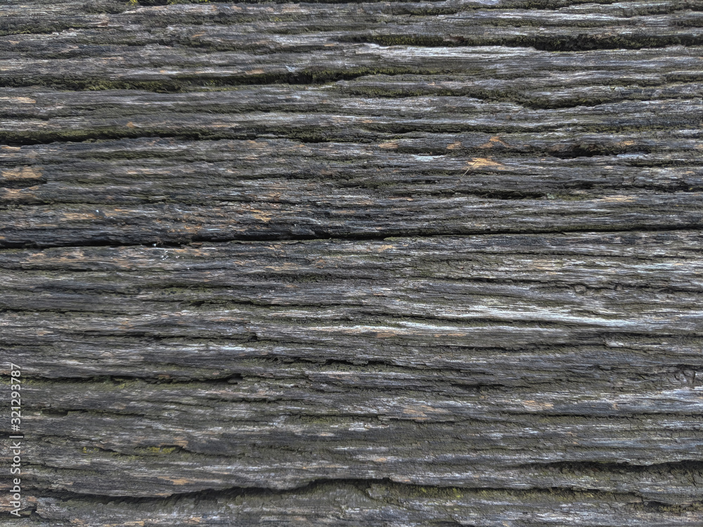 beautiful textured photo background of an old cracked natural wood board beautiful textured photo background of an old cracked natural wood board