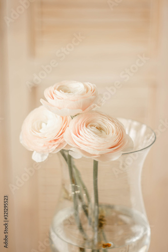 Ranunculus