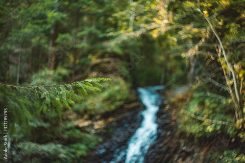 artistic concept soft focus needle branch on blurred unfocused forest nature environment background green and yellow foliage spring time sunny weather colors and river stream waterfall silhouette