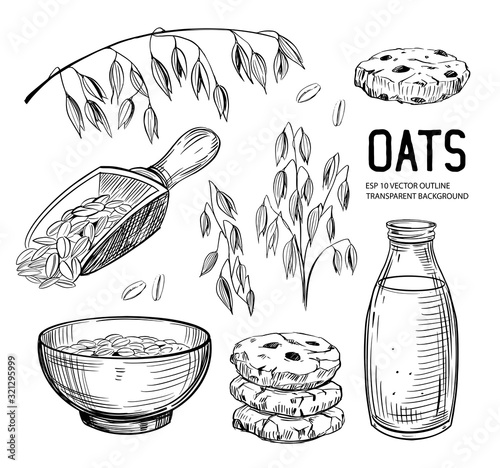 Set of oats objects. Oatmeal, cookies, milk, grains, plant. Vector outline with transparent background
