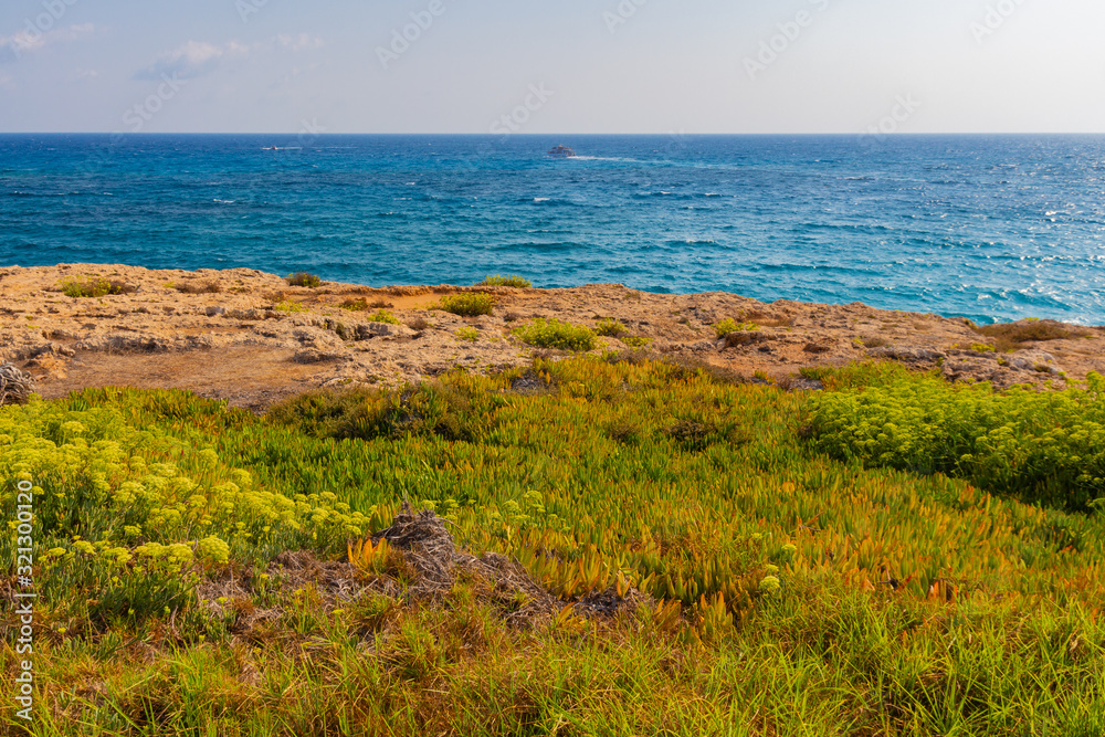 Beautiful meadow near Mediterranean sea in Cyprus