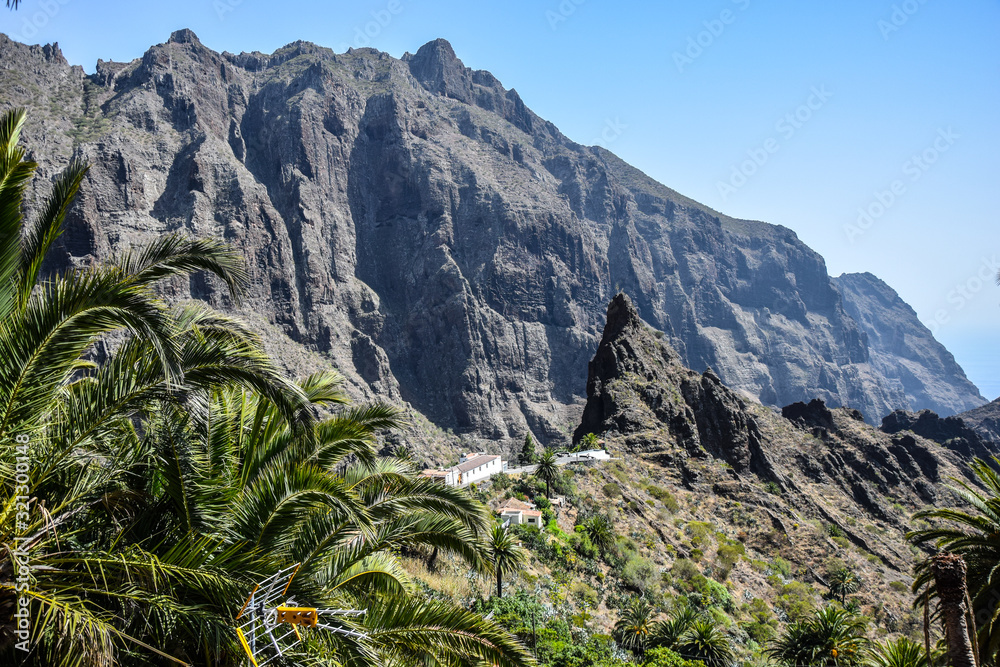Masca teneryfa
