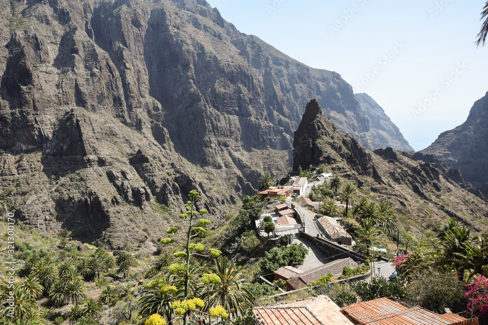 Masca teneryfa