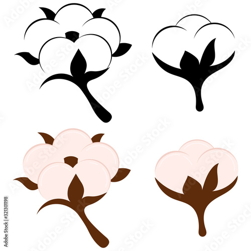 Cotton flower and ball isolated on white background.