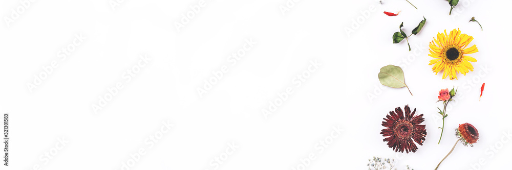 Frame of dry flowers on white background. Flat lay, top view. Copy space for text. Frame of dry flowers on white background. Flat lay, top view. Copy space for text.