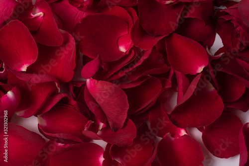 Close-up red roses petal texture for background