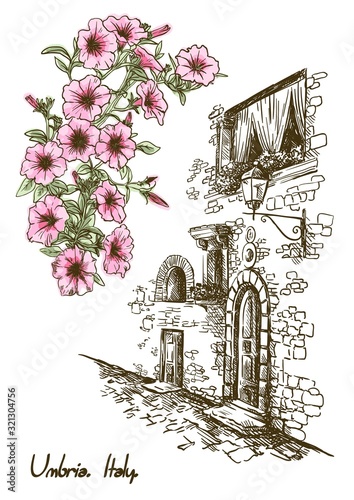 drawing of an old street in Italy and flowers