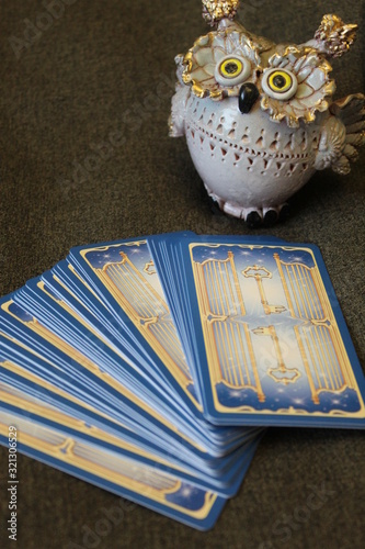 Peacock Feather Tarot Cards and Owl Figurine
