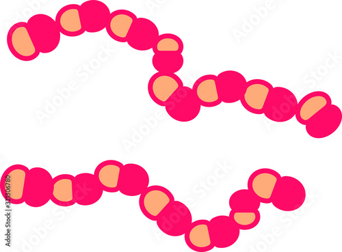 streptococcus icon, vector