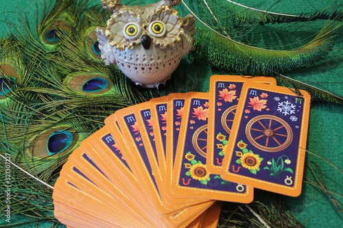 Peacock Feather Tarot Cards and Owl Figurine