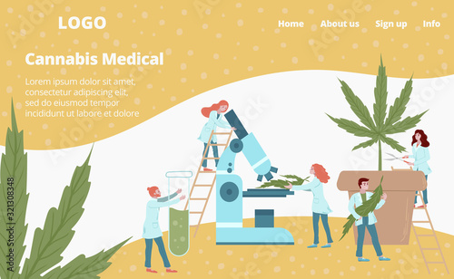 Laboratory medicines from cannabis plant web template vector illustration. Scientist mini people make herbal medicine from medical cannabis. Medics analyzing plants, herbs webpage.