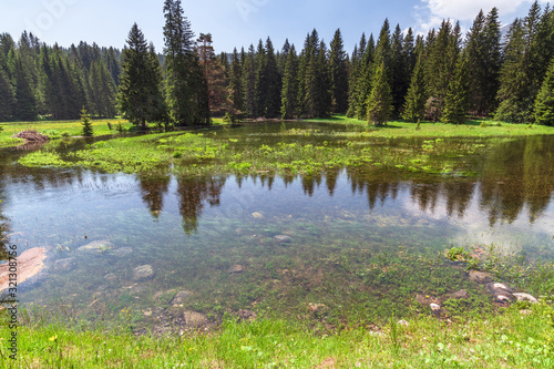 Black Lake in a Durmitor Park, Montenegro