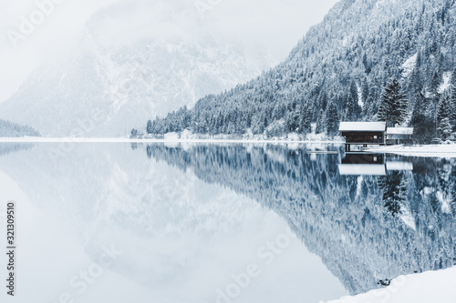 plansee