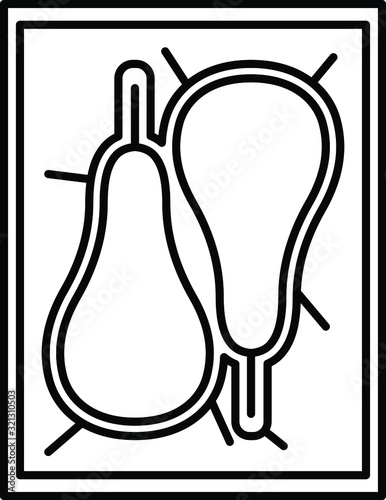 Food vacuum bag icon