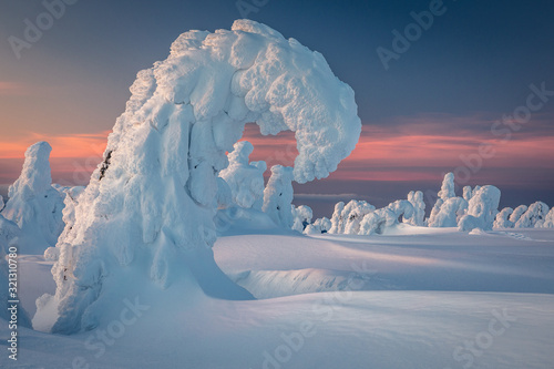 Winter in Jeseniky Mountains in Czech Republic. A huge amounts of snow in photography.