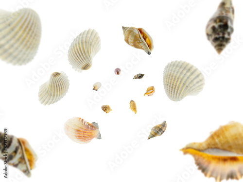 Summer concept background. Sea shells falling. Tropical starfish isolated on white.