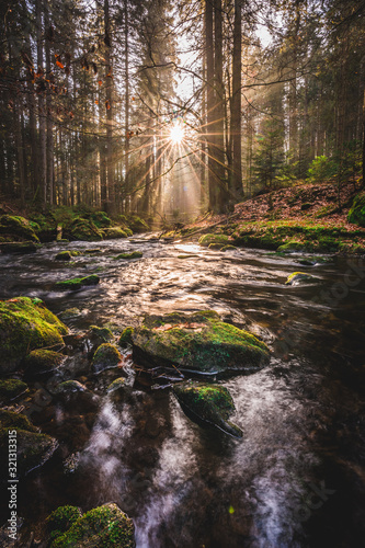 sonnenwald