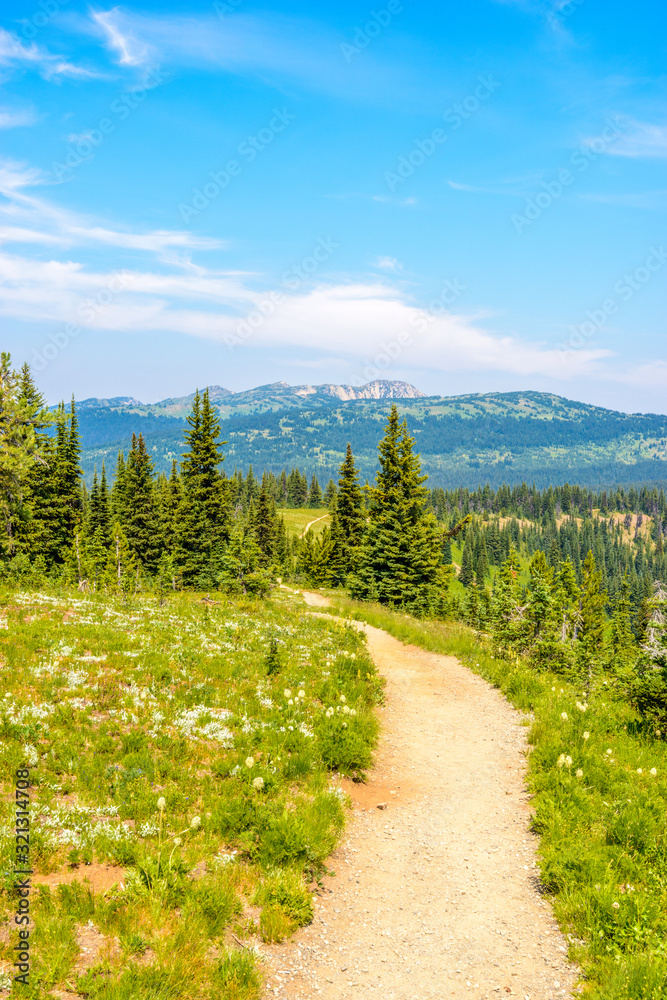 Fototapeta premium Beautiful Mountain Trail. Blackwall Peak Trail at Manning Park in British Columbia. Canada.