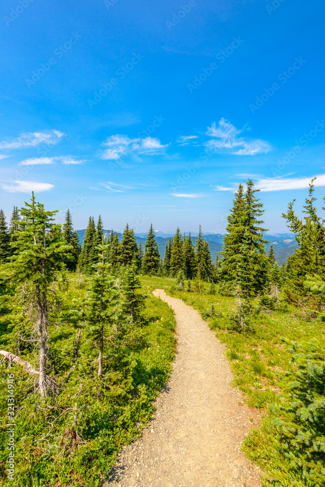 Beautiful Mountain Trail. Blackwall Peak Trail at Manning Park in British Columbia. Canada. Beautiful Mountain Trail. Blackwall Peak Trail at Manning Park in British Columbia. Canada.