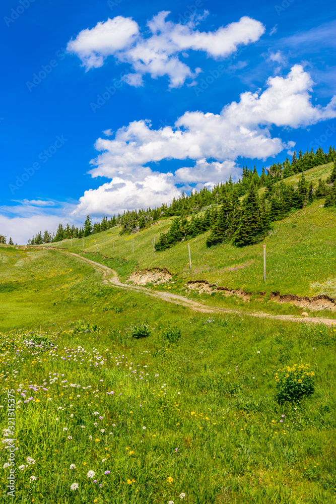 Fototapeta premium Beautiful landscape of valley in Alpine mountains, small trail, hike root, majestic picturesque view in sunny day