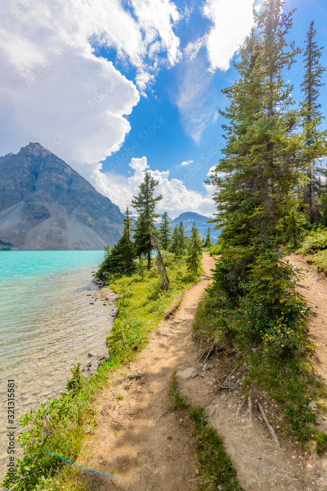 Fototapeta premium Fragment of mountain lake trail in Alberta, Canada, Rocky Mountains.