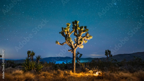 Stars in the sky at night over Joshua Tree in Mojave Desert, California